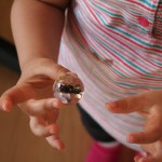 bambini e insetti